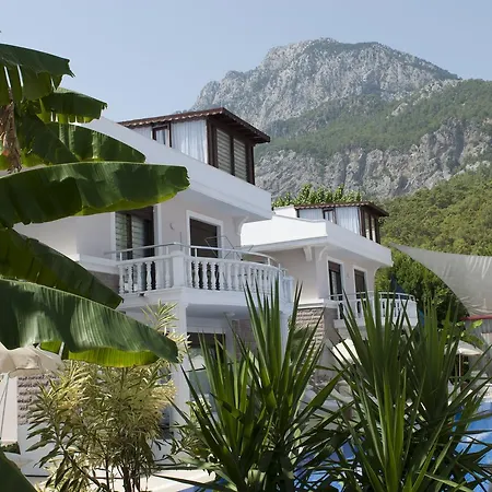 Bamont Villas Willa *