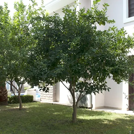 빌라 Bamont Villas 케메르