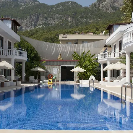 빌라 Bamont Villas *